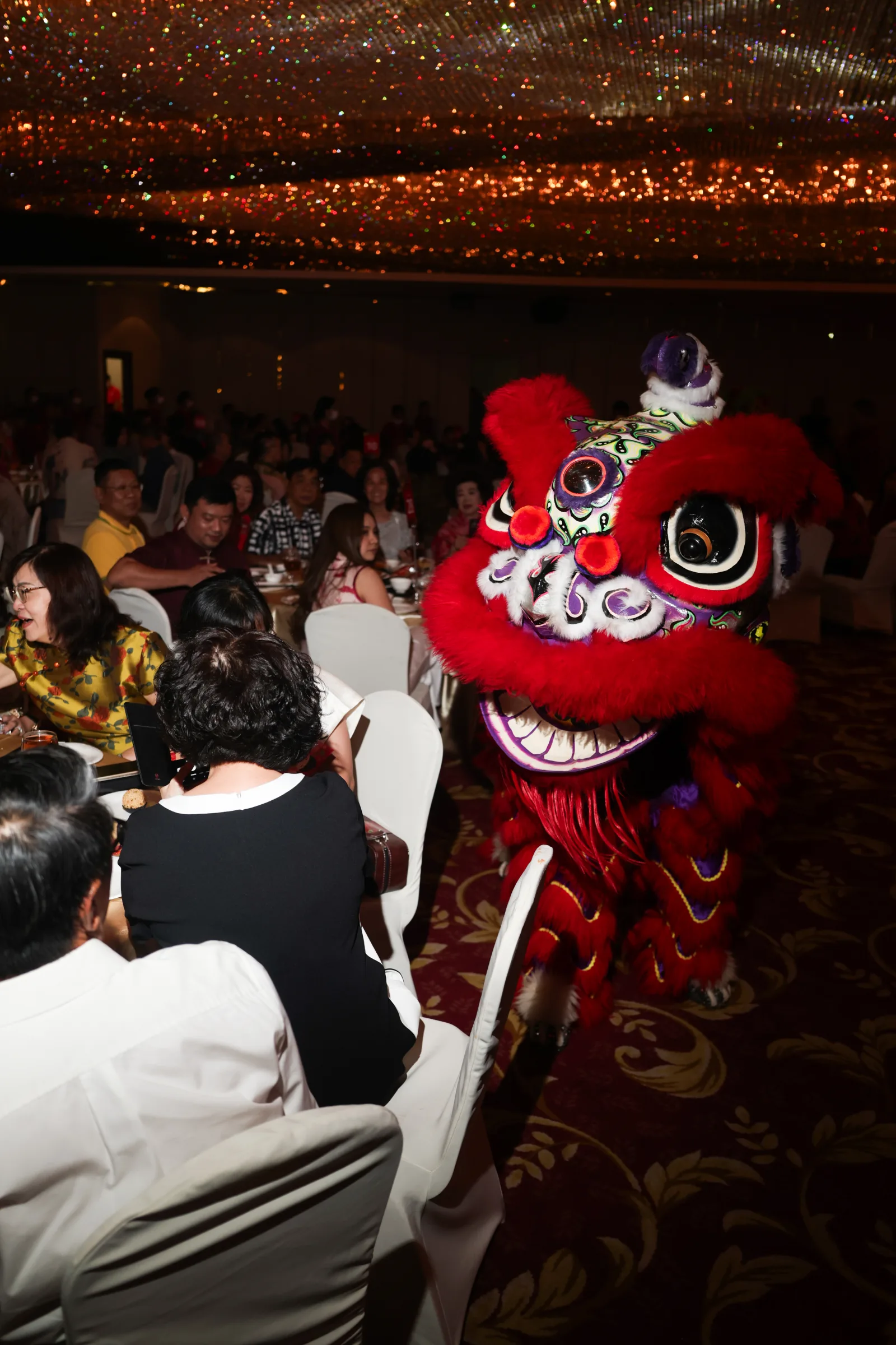 DBS SPRING FESTIVAL